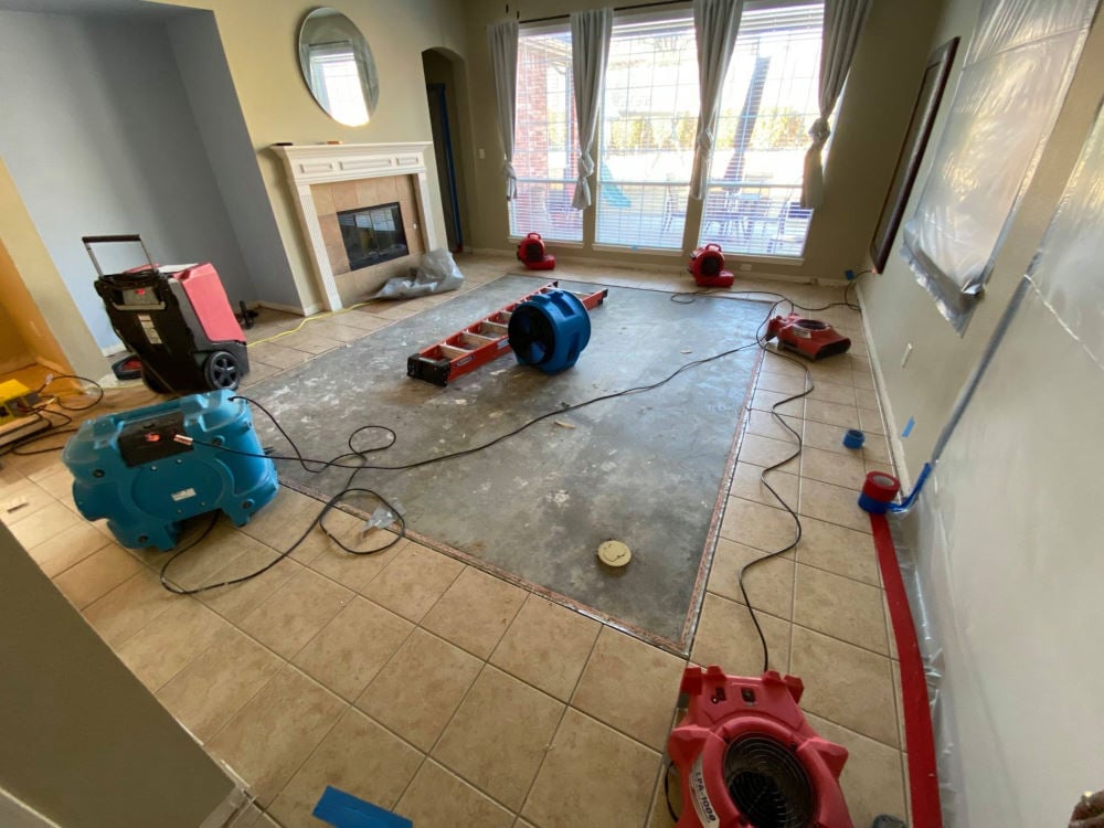 waterdamagespecialist.com.au location